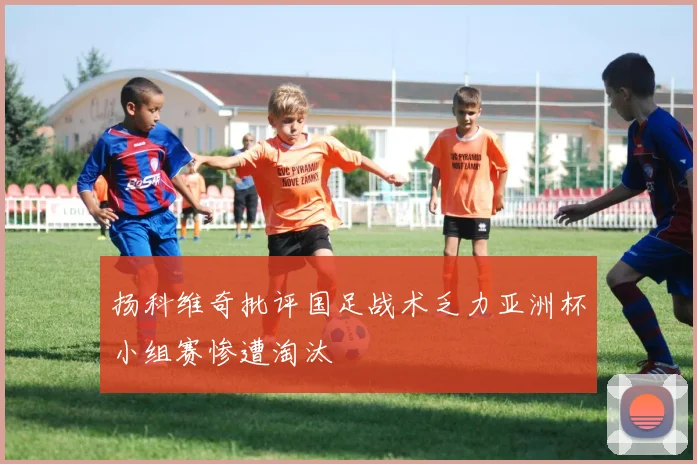 扬科维奇批评国足战术乏力亚洲杯小组赛惨遭淘汰
