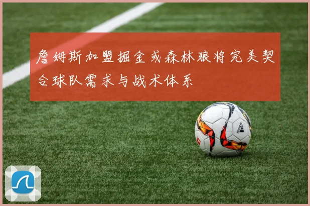 詹姆斯加盟掘金或森林狼将完美契合球队需求与战术体系