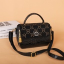 CR8806Black-3070