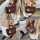 CR9060Brown-1287